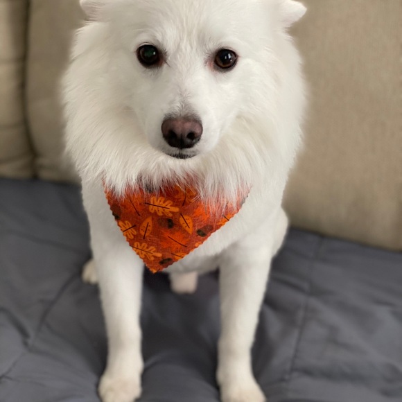 LIKE TO BE NOTIFIED WHEN I GO LIVE❣️ - Picture 5 of 6